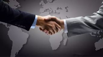 美國房地產經紀人能為你做哪些事